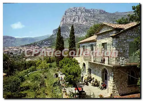 Cartes postales moderne Cote d'Azur Saint Jeannet A M les Chenes au fond le Baou et le village