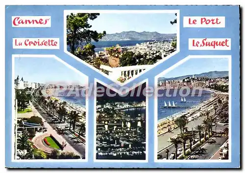 Cartes postales moderne La Cote d'Azur Souvenir de Cannes