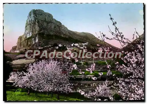 Cartes postales moderne Saint Jeannet A M le Printemps Cerisiers en fleurs