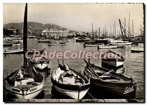 Cartes postales moderne Cannes le Port