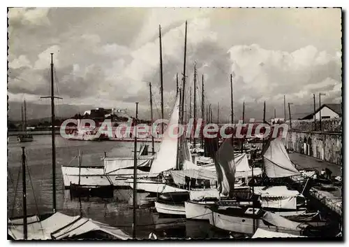 Cartes postales moderne Antibes La Cote d'AZUR Le Port et le Fort Carre