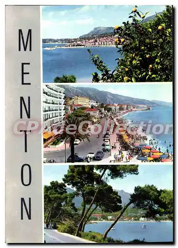 Cartes postales moderne Menton La Cote d'Azur