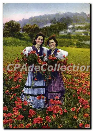 Cartes postales moderne La Cote d'Azur Nicoises dans un champ de Coquelicots