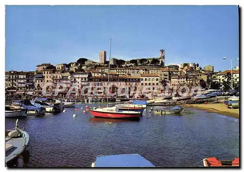 Cartes postales moderne Cannes La Cote d'Azur Le Suquet