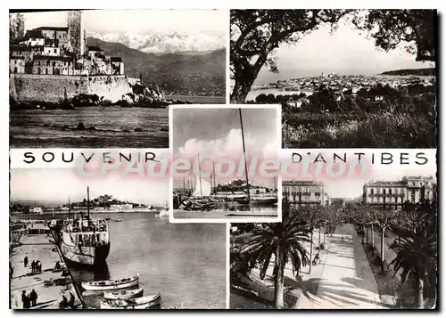 Cartes postales moderne Antibe La Cote d'Azur