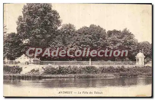 Cartes postales Andresy La Villa des Tilleuls