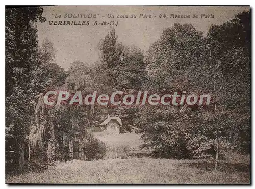 Ansichtskarte AK Versailles (S et O) La Solitude Un coin du Parc Avenu de Paris