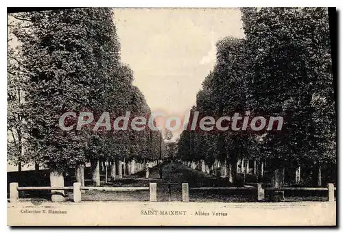 Cartes postales Saint Maxient Allees Vertes