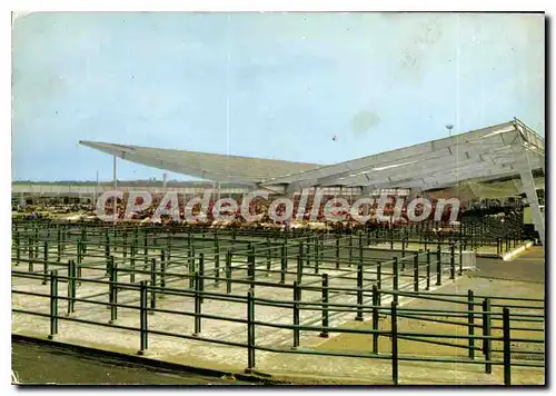 Cartes postales moderne Parthenay (Deux Sevres 79) Le Marche aux Bestiaux