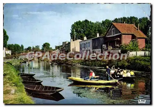 Cartes postales moderne Marais Poitevin La Venise Verte Coulon Promenade en barque