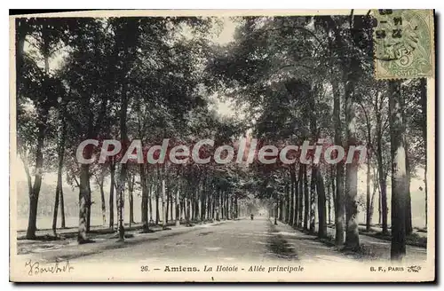 Cartes postales Amiens la Hotoie Allee principale