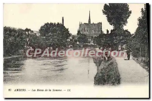 Cartes postales Amiens Les Rives de la Somme