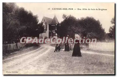 Cartes postales Cayeux sur Mer Une Allee du bois de Brighton