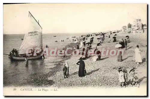 Cartes postales Cayeux La Plage