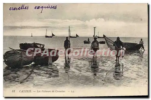 Cartes postales Cayeux Les Pecheurs de Crevettes