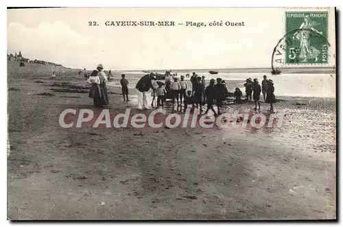 Cartes postales Cayeux sur Mer Plage Cote Ouest