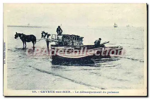 Cartes postales Cayeux Sur Mer Le debarquement du poisson