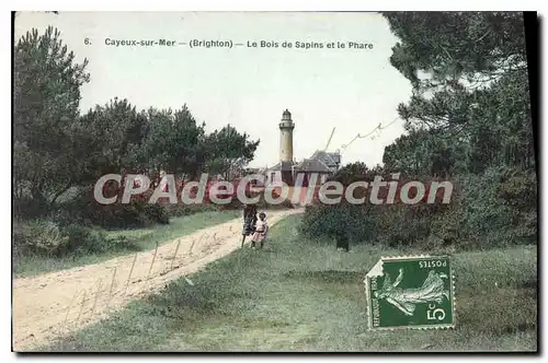 Ansichtskarte AK Cayeux sur Mer (Brighton) Le Bois de Sapins et le Phare