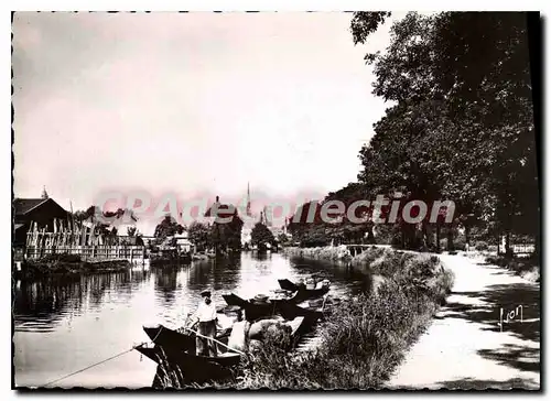 Cartes postales moderne Amiens (Somme) Les bords de la Somme