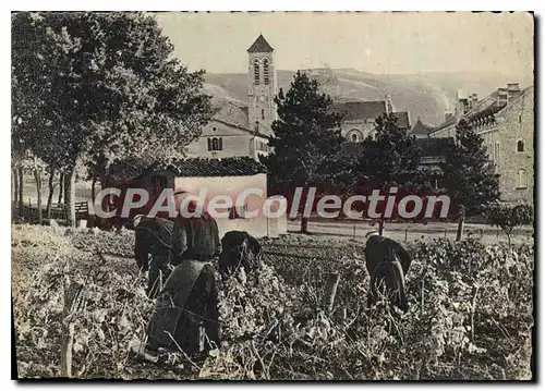 Cartes postales moderne Abbaye Saint Benoit D'en Calcat Dourgne (Languedoc)