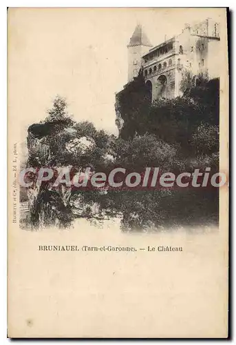 Cartes postales Bruniauel (Le Tarn et Garonne) Le Chateau