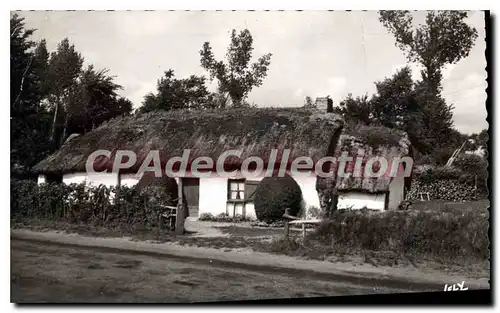 Cartes postales Au Pays de Monts Une des dernieres Bourines du pays Maraichin