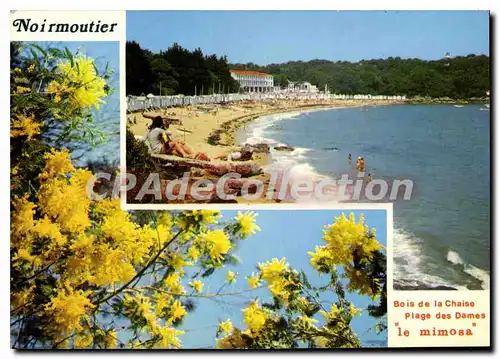 Cartes postales moderne Ile de Noirmoutier Plage des Dames bois de la chaise le mimosa