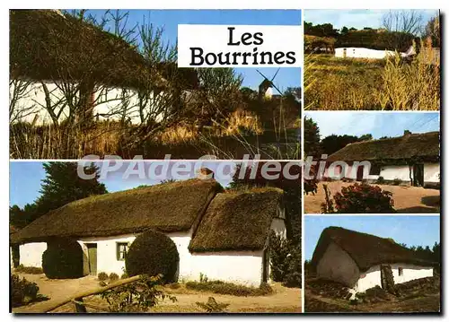 Cartes postales Les Bourrines