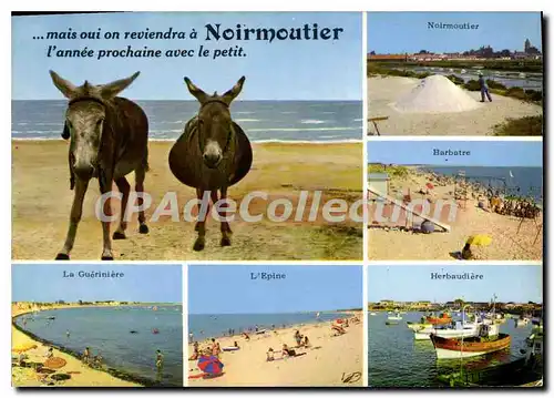 Ansichtskarte AK La Vendee Pittoresque Ile de Noirmoutier