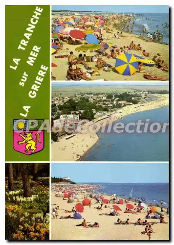 Cartes postales La Tranche sur Mer La griere