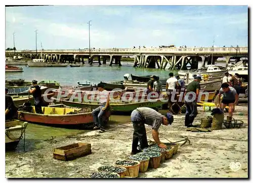 Cartes postales L'Aiguillon sur Mer Le Port