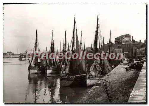 Cartes postales moderne Les Sables D'Olonne Le Port vue prise du Quai Guin�