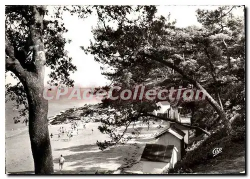 Cartes postales moderne Ile de Noirmoutier Plage de l'Anse Rouge