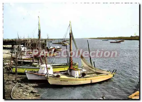 Cartes postales moderne L'Aiguillon sur Mer Vendee Le Port