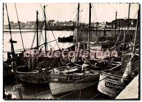 Cartes postales moderne Port de Croix de Vie