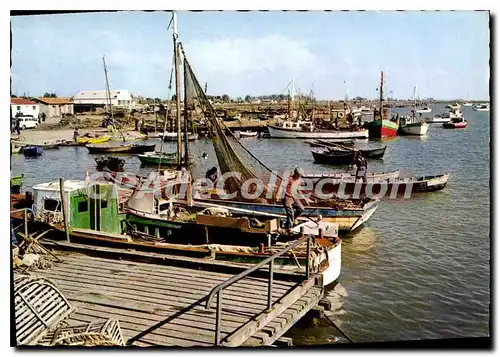 Cartes postales moderne En Vendee Le Port de l'Aiguillon sur Mer