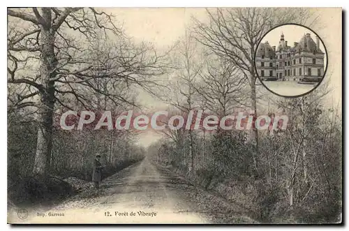 Cartes postales Foret de Vibraye