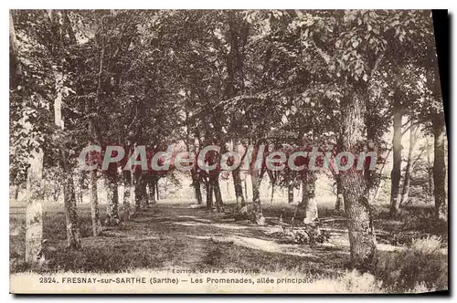 Cartes postales Fresnay sur Sarthe Les Promenades allee principale