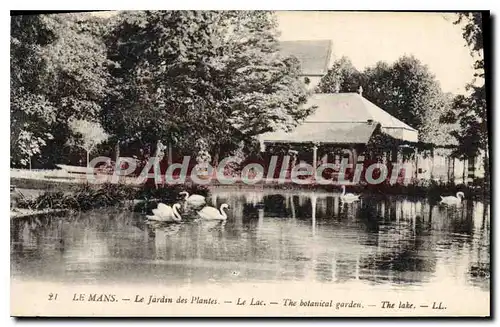 Ansichtskarte AK Le Mans Le Jardin des Plantes Le Lac