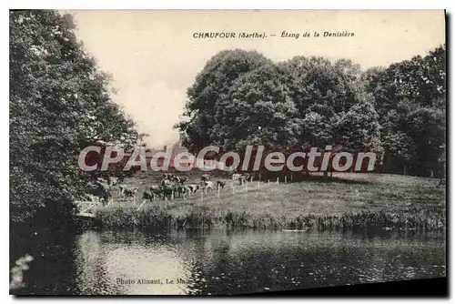 Cartes postales Chaufour Sarthe Etang de la Denisiere