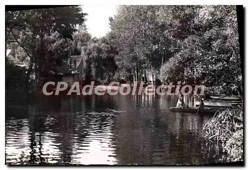 Cartes postales La Chartre sur le Loir Sarthe Les Bords du Loir