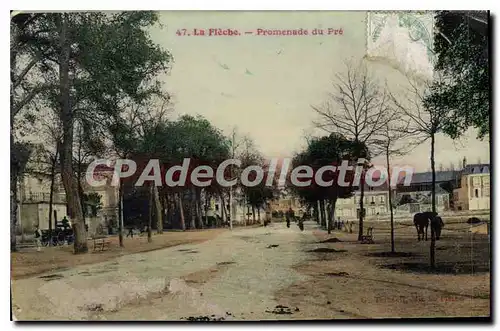 Cartes postales Le Fleche Promenade du Pre