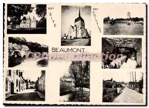 Cartes postales moderne Beaumont la Chartre Sarthe Vue d'Ensemble