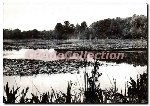 Moderne Karte Ouen en Belin Sarthe Etang de Clairefontaine