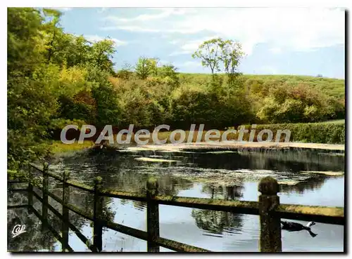 Cartes postales moderne Mamers l'Etang du chateau de Perseigne