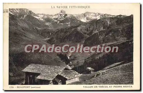 Cartes postales La Savoie Pittoresque Vallon de Trecol et Pierre Menta