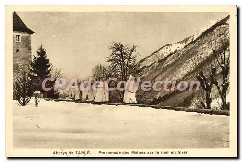 Cartes postales Abbaye de Tamie Promenade des Moines sur le mur en hiver