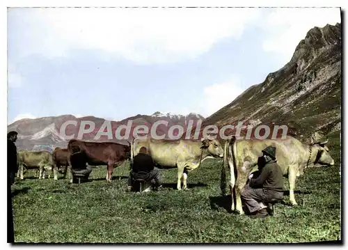 Moderne Karte Savoie Vallee de la Haute Tarentaise la Traite des tarentaise et Tarines le soir