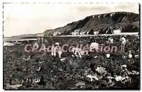 Cartes postales Ste Honorine sur Mer Calvados La Peche aux Moules