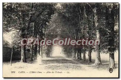 Cartes postales Caen L'Hotel Dieu Allee des Tilleuls